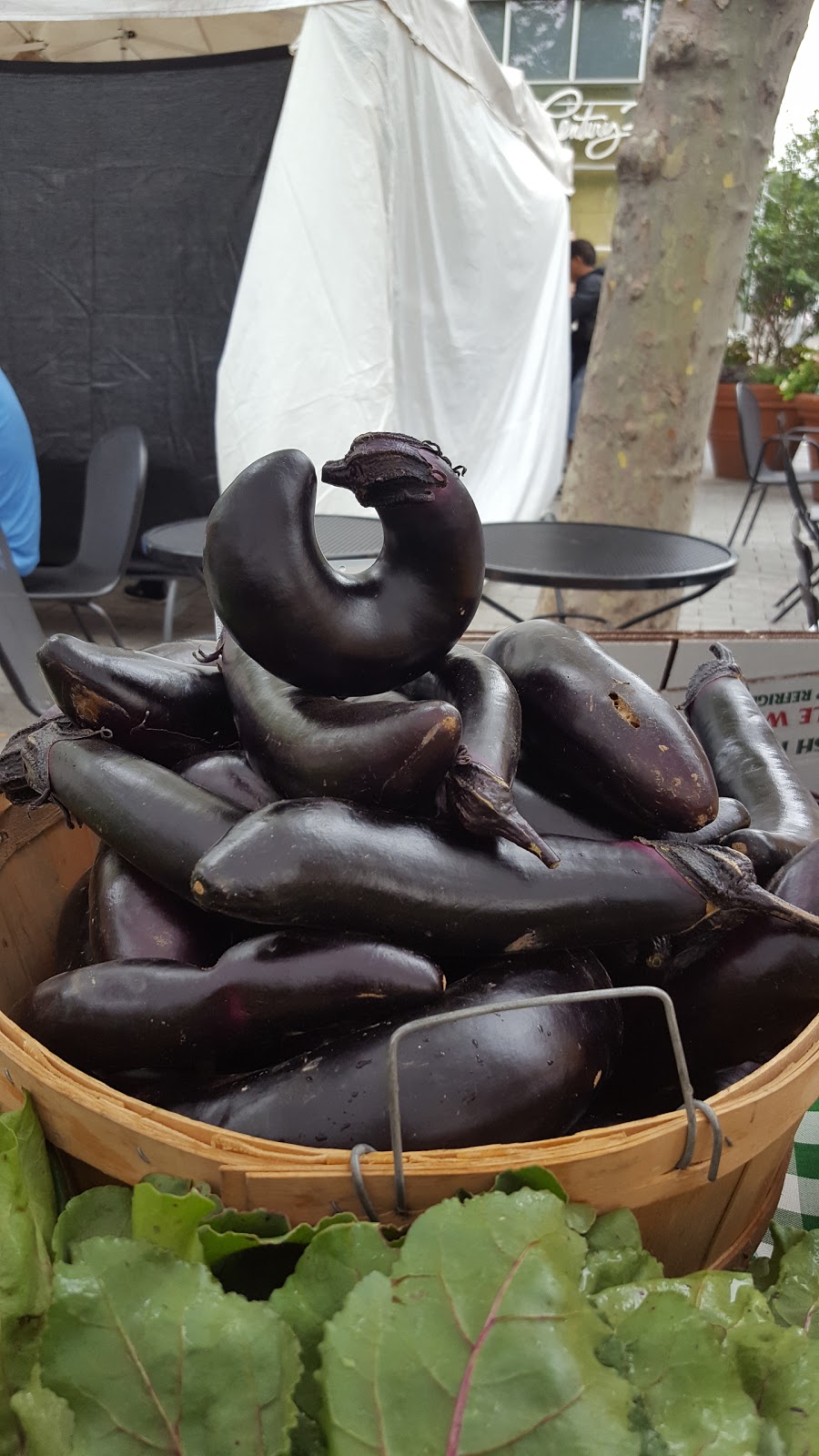 Photo of Tucker Square Greenmarket in New York City, New York, United States - 3 Picture of Food, Point of interest, Establishment