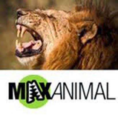 Photo of MaxAnimal in New York City, New York, United States - 1 Picture of Point of interest, Establishment