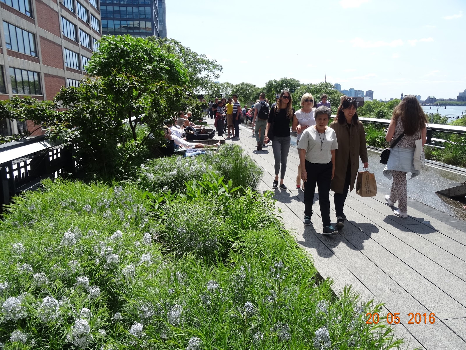 Photo of The Diller - Von Furstenberg Sundeck in New York City, New York, United States - 10 Picture of Point of interest, Establishment, Park