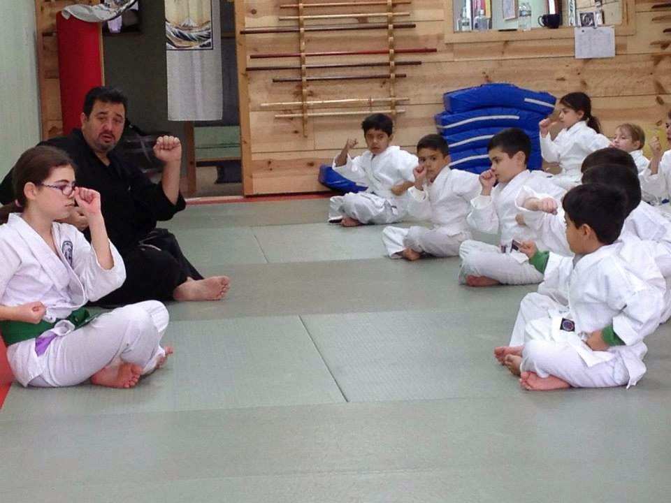 Photo of Popkin-Brogna Jujitsu Center in West Hempstead City, New York, United States - 10 Picture of Point of interest, Establishment, Health, Gym