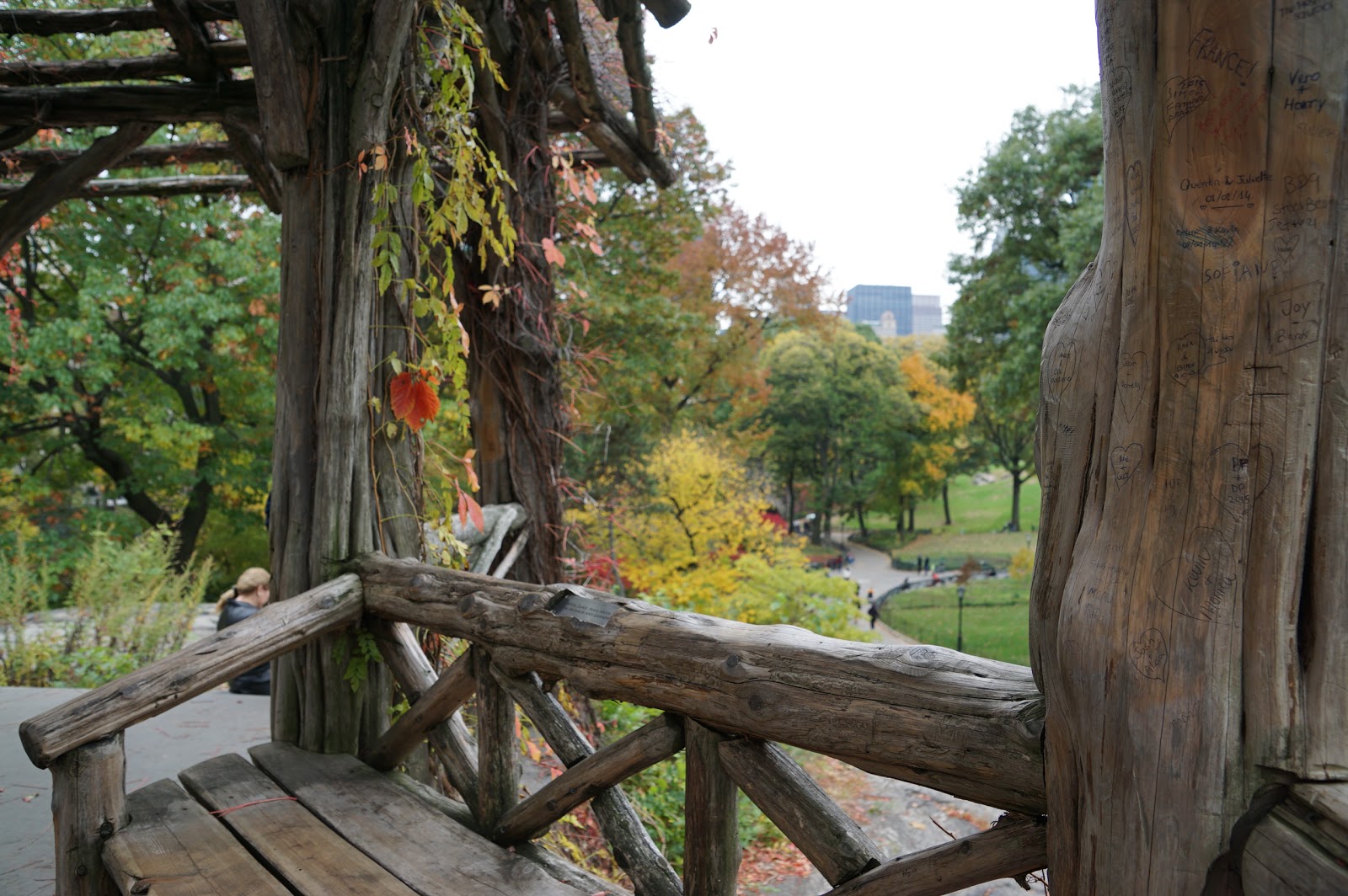 Photo of A Treehouse For Dreaming in New York City, New York, United States - 7 Picture of Point of interest, Establishment