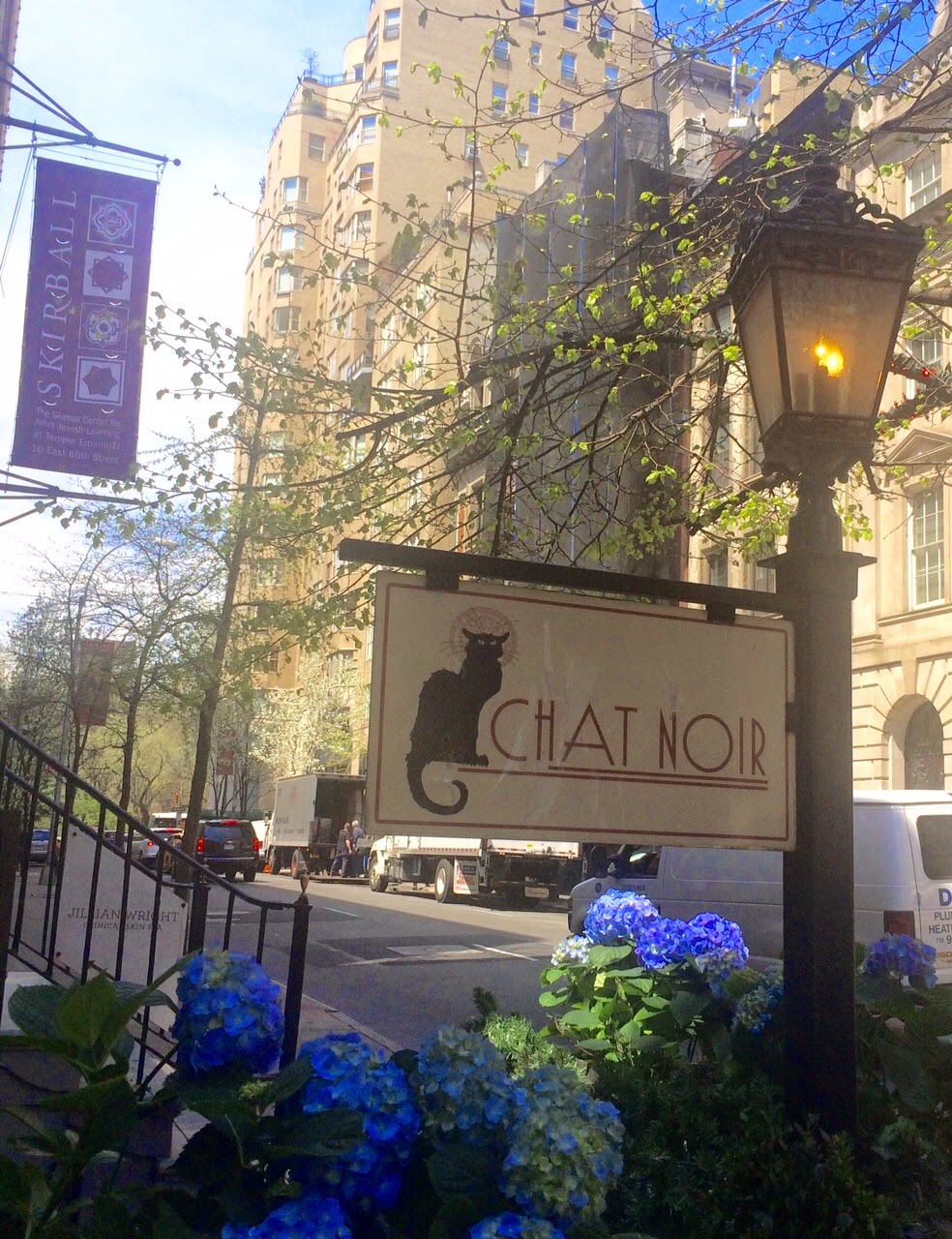 Photo of Bistro Chat Noir in New York City, New York, United States - 8 Picture of Restaurant, Food, Point of interest, Establishment, Bar