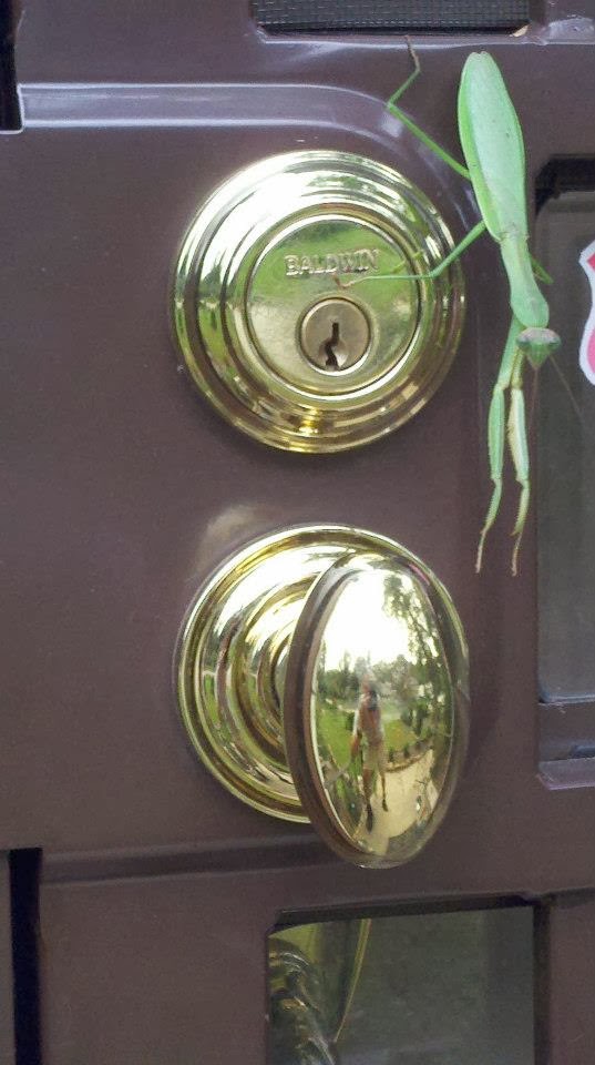 Photo of Reliable Lock & Safe in East Orange City, New Jersey, United States - 9 Picture of Point of interest, Establishment, Store, Locksmith