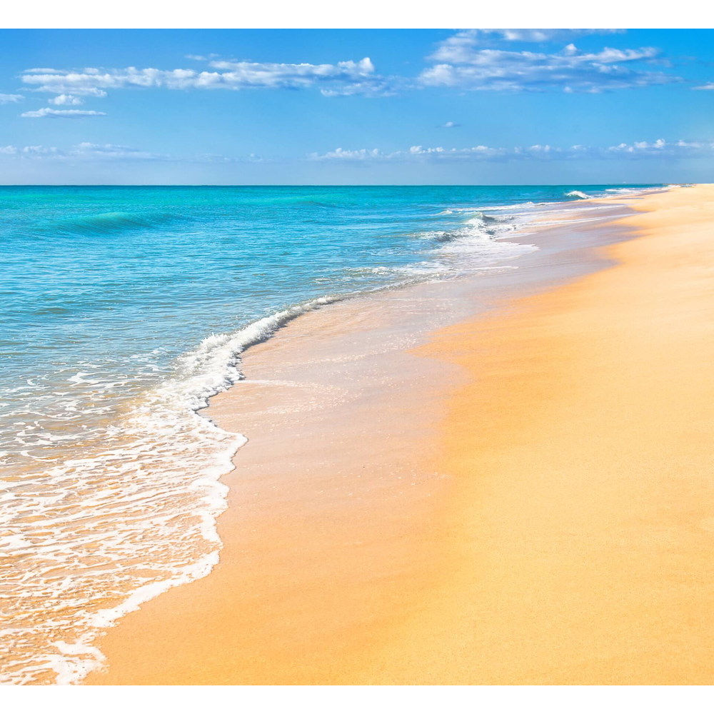 Photo of Beach Sand Chairs in Bronx City, New York, United States - 3 Picture of Point of interest, Establishment, Store, Home goods store, Furniture store