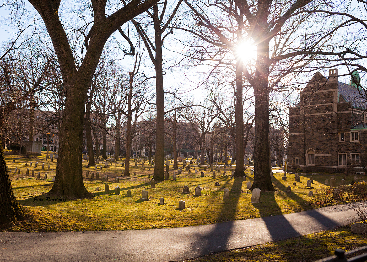 Photo of Trinity Cemetery in New York City, New York, United States - 1 Picture of Point of interest, Establishment, Cemetery