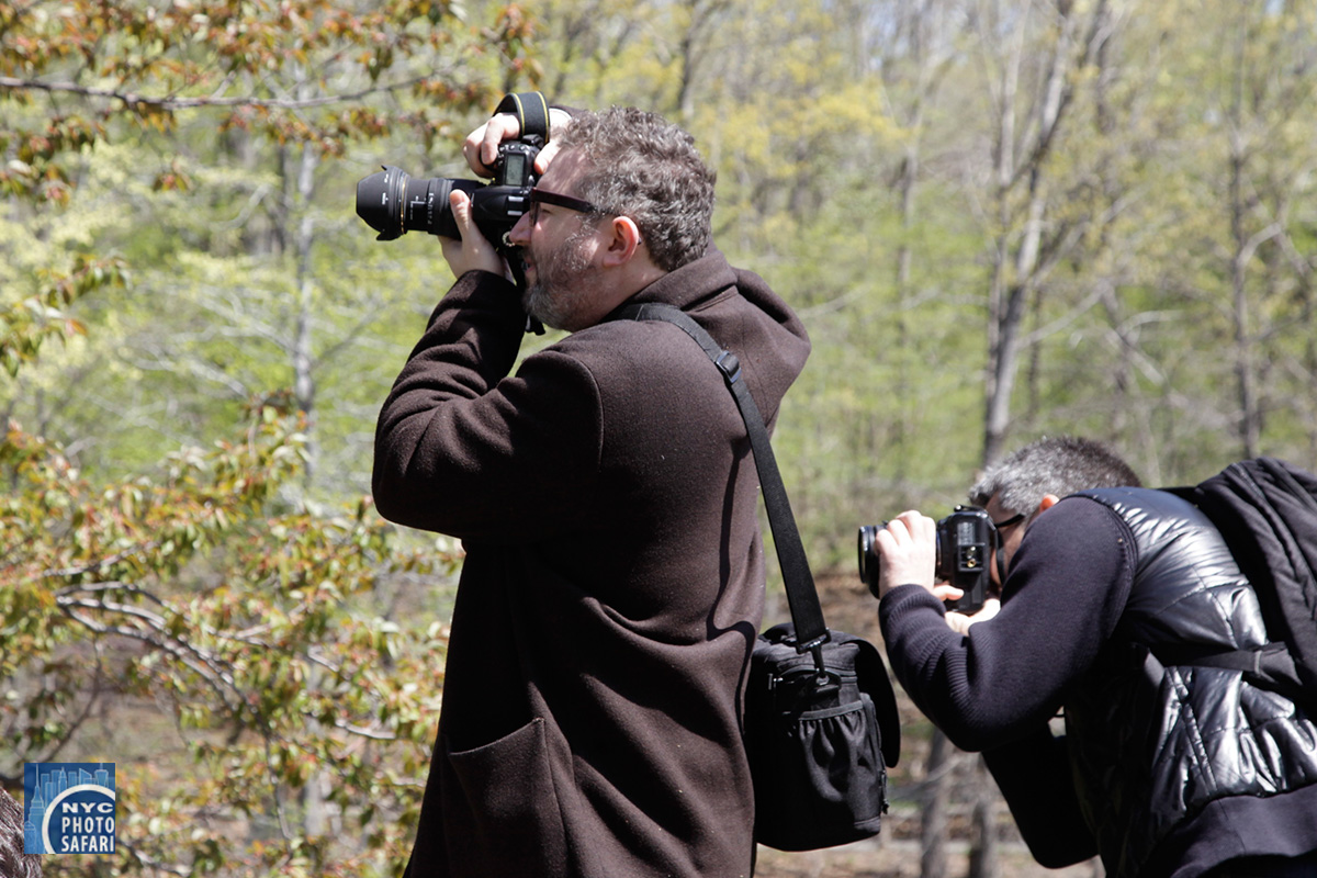 Photo of Central Park Photo Safari in New York City, New York, United States - 5 Picture of Point of interest, Establishment, Travel agency