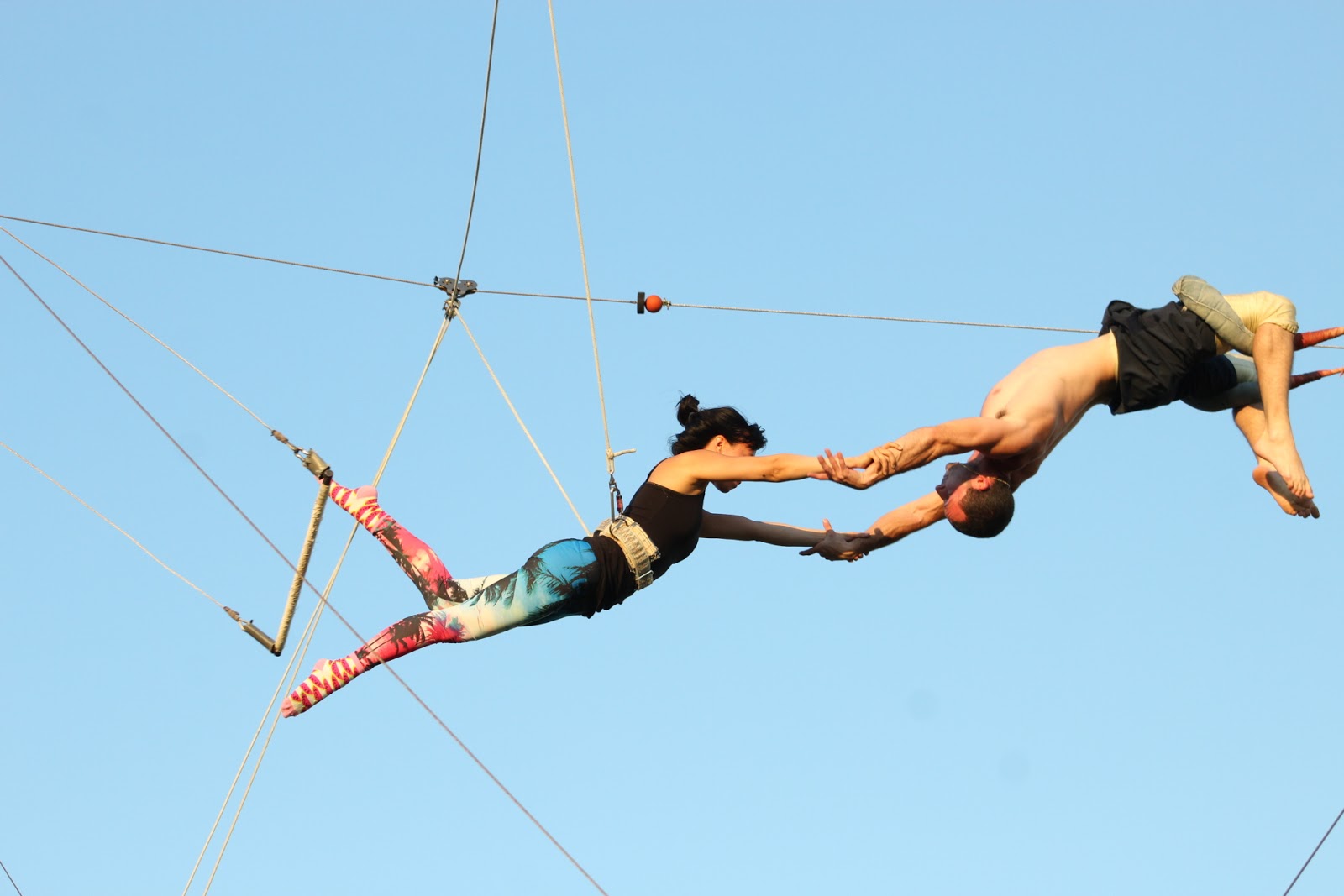 Photo of I.FLY Trapeze in East Meadow City, New York, United States - 9 Picture of Point of interest, Establishment