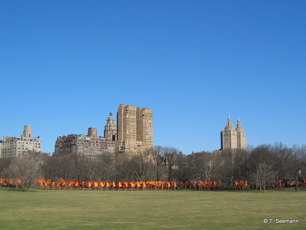 Photo of Sheep Meadow in New York City, New York, United States - 1 Picture of Point of interest, Establishment, Park