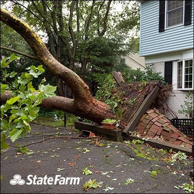 Photo of State Farm: Frank Mosier in Millburn City, New Jersey, United States - 5 Picture of Point of interest, Establishment, Finance, Health, Insurance agency