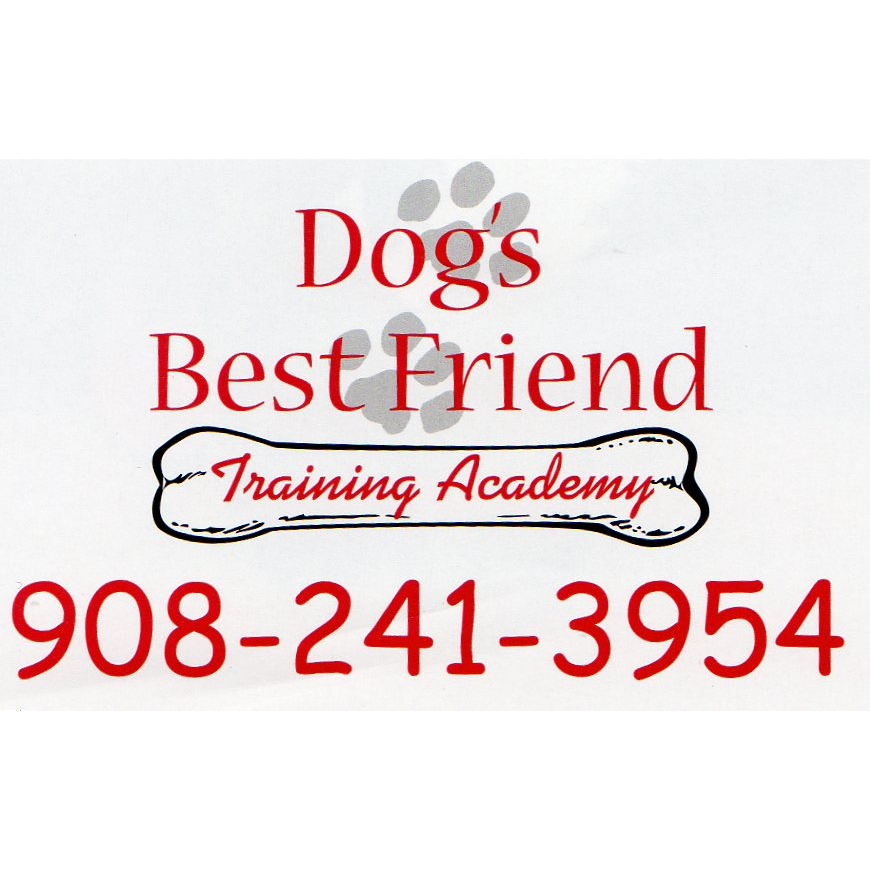 Photo of Dog's Best Friend Training Academy in Avenel City, New Jersey, United States - 1 Picture of Point of interest, Establishment