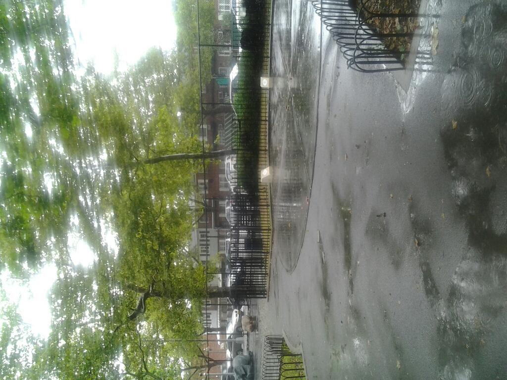 Photo of Herman Dolgon Playground in Brooklyn City, New York, United States - 2 Picture of Point of interest, Establishment, Park