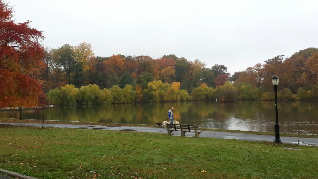 Photo of Kissena Park Soccer Turf Field in Flushing City, New York, United States - 1 Picture of Point of interest, Establishment