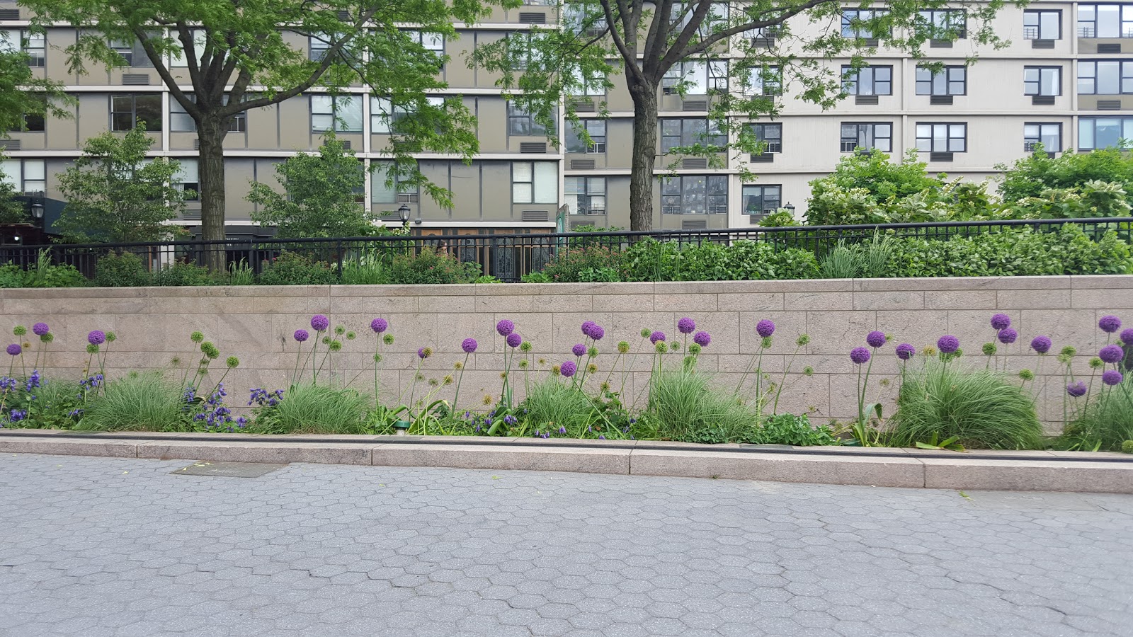 Photo of North Cove Marina in New York City, New York, United States - 2 Picture of Point of interest, Establishment