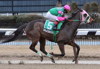 Photo of Gary P Gullo Racing Stable in Elmont City, New York, United States - 6 Picture of Food, Point of interest, Establishment