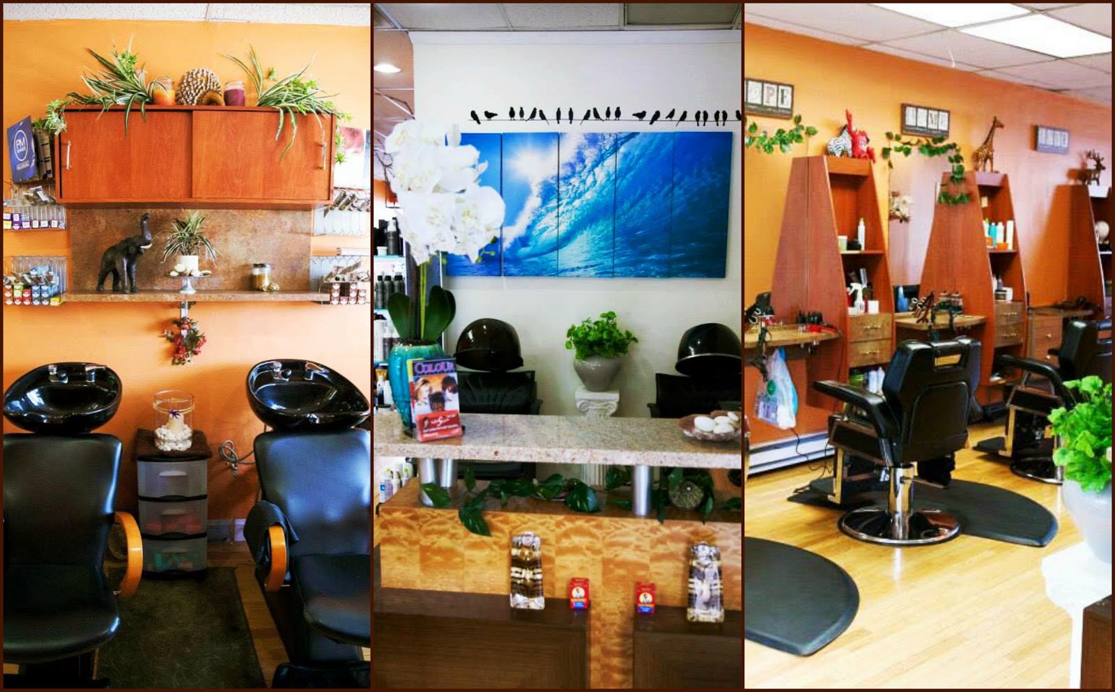 Photo of Get Twisted Hair Studio in Teaneck City, New Jersey, United States - 1 Picture of Point of interest, Establishment, Health, Hair care
