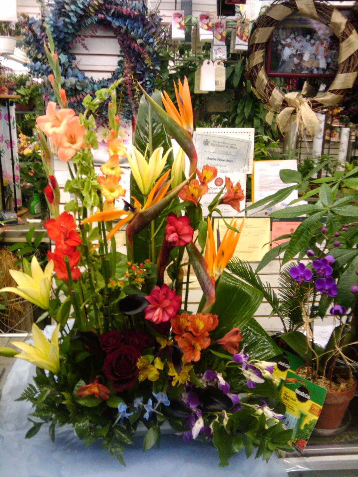 Photo of Astoria Flower Mart in New York City, New York, United States - 8 Picture of Point of interest, Establishment, Store, Florist