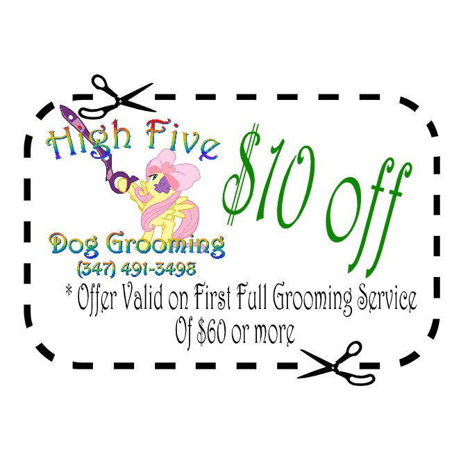 Photo of High Five Dog Grooming in Bronx City, New York, United States - 10 Picture of Point of interest, Establishment