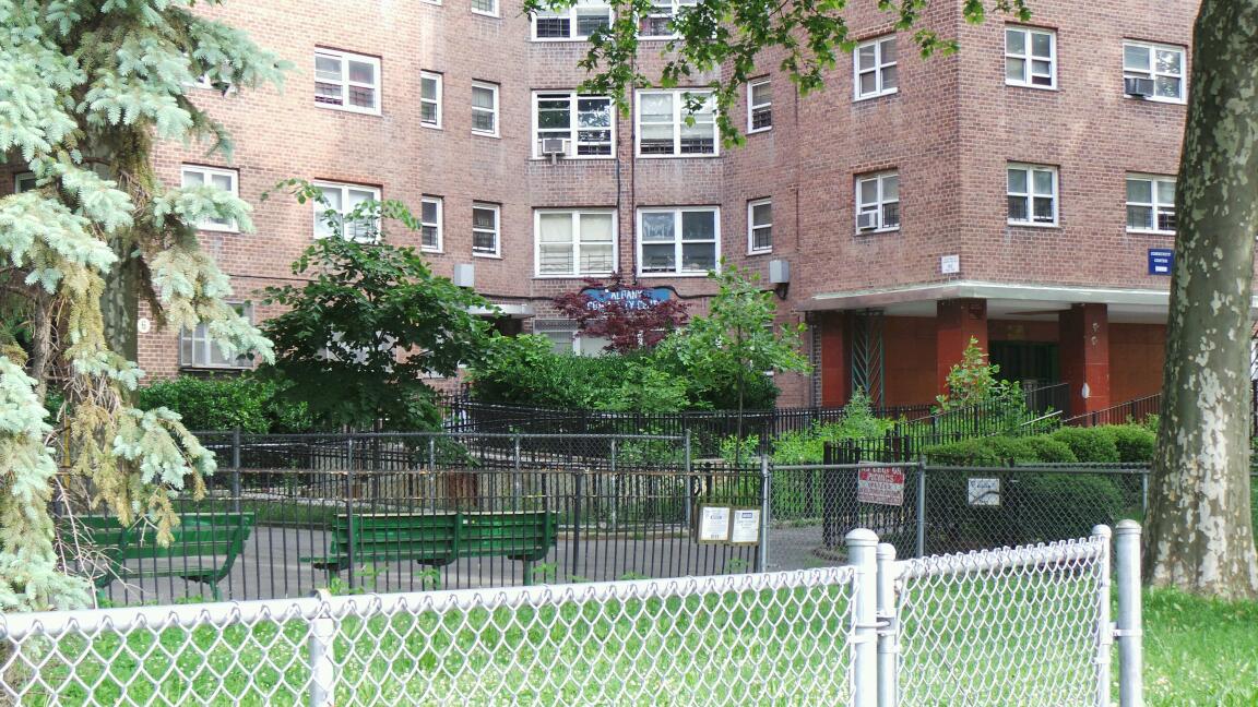 Photo of Albany Community Center in Brooklyn City, New York, United States - 1 Picture of Point of interest, Establishment