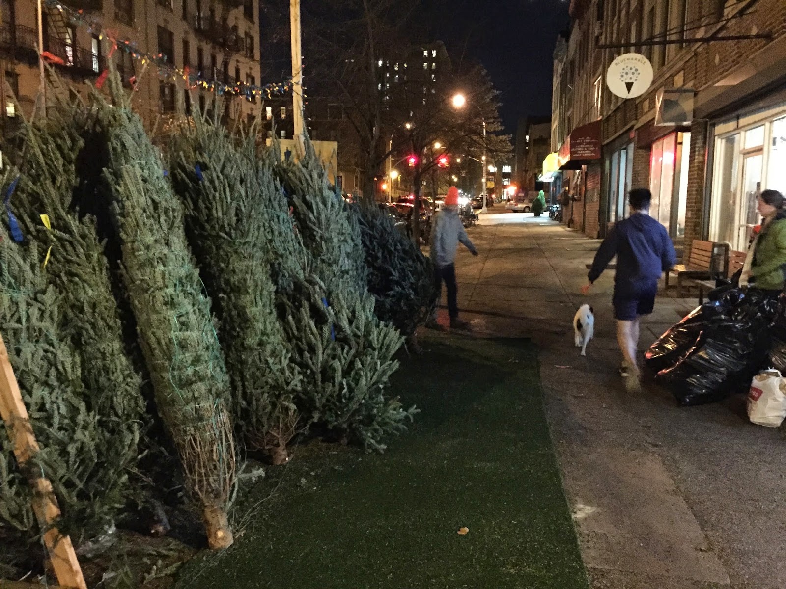 Photo of Christmas Tree NYC in New York City, New York, United States - 2 Picture of Point of interest, Establishment, Store