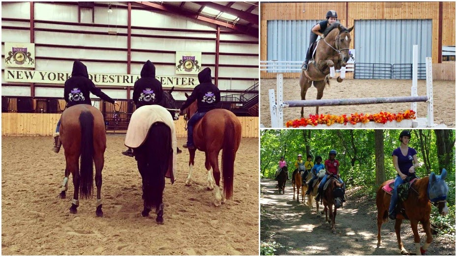 Photo of New York Equestrian Center in West Hempstead City, New York, United States - 2 Picture of Point of interest, Establishment