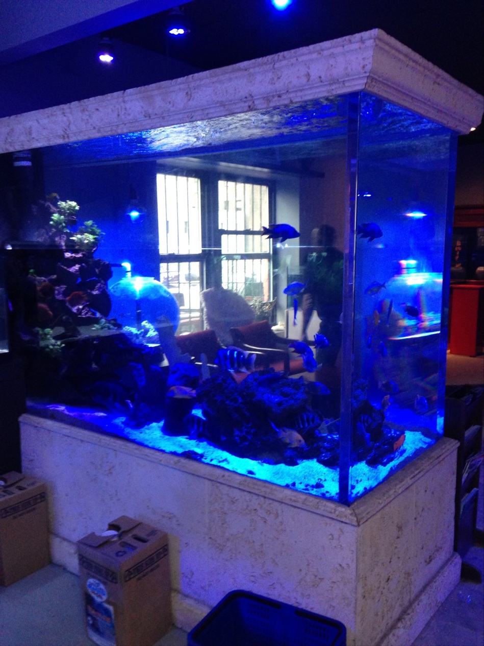 Photo of Manhattan Aquariums in New York City, New York, United States - 7 Picture of Point of interest, Establishment, Store, Pet store