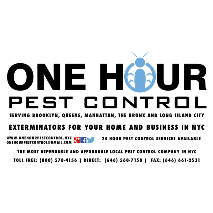 Photo of One Hour Pest Control in Queens City, New York, United States - 1 Picture of Point of interest, Establishment, Store, Home goods store