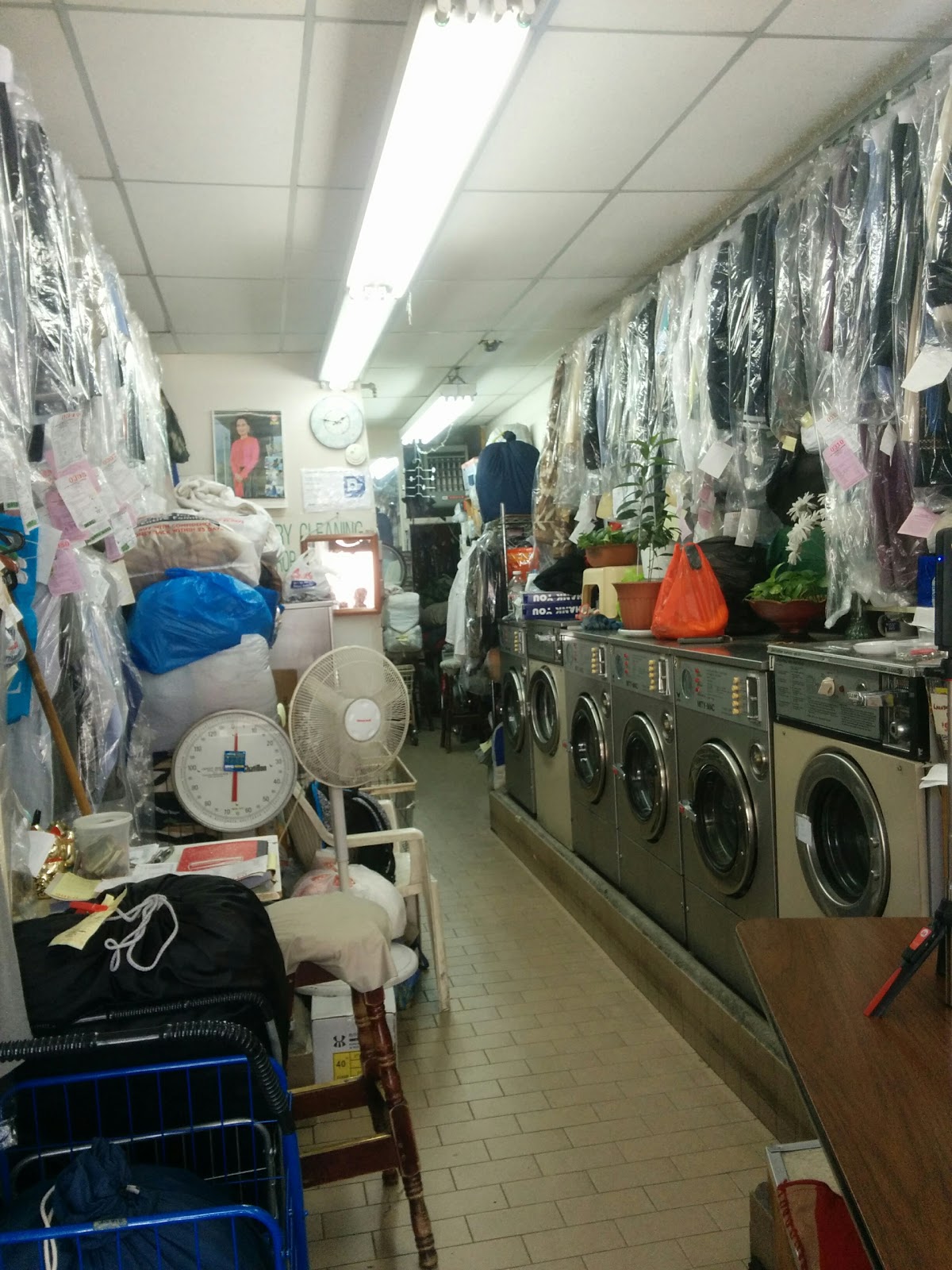 Photo of DRY CLEANING & LAUNDRY in Queens City, New York, United States - 1 Picture of Point of interest, Establishment, Laundry