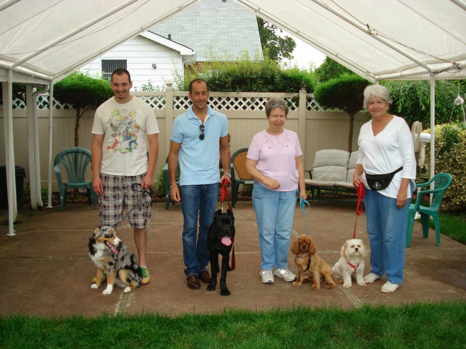 Photo of Smarty Paws Dog Training in North New Hyde Park City, New York, United States - 10 Picture of Point of interest, Establishment