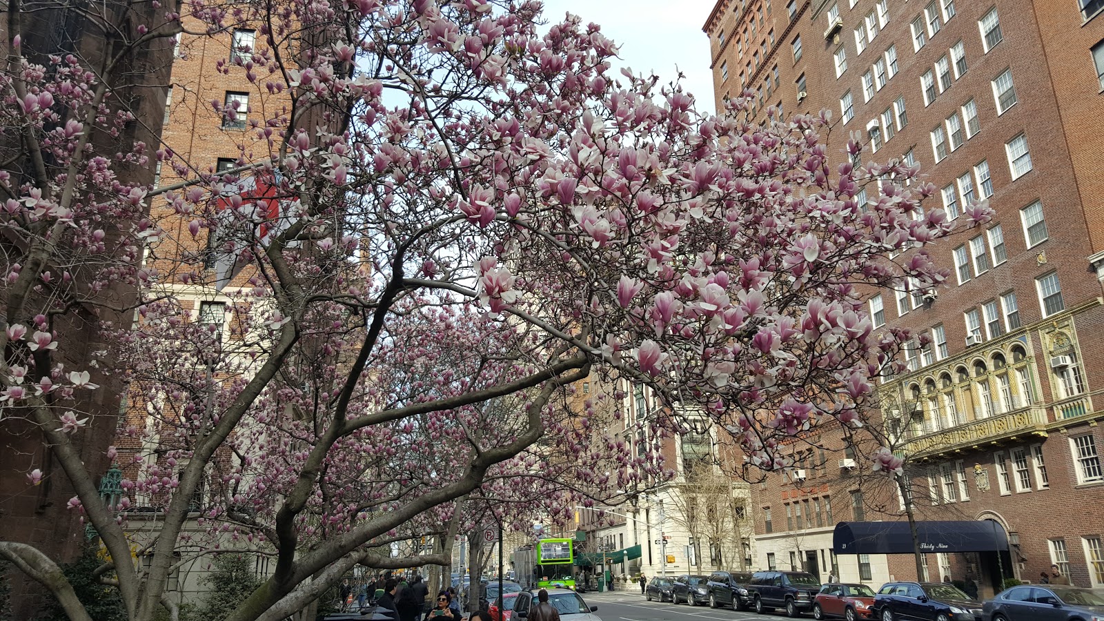 Photo of Church of the Ascension in New York City, New York, United States - 2 Picture of Point of interest, Establishment