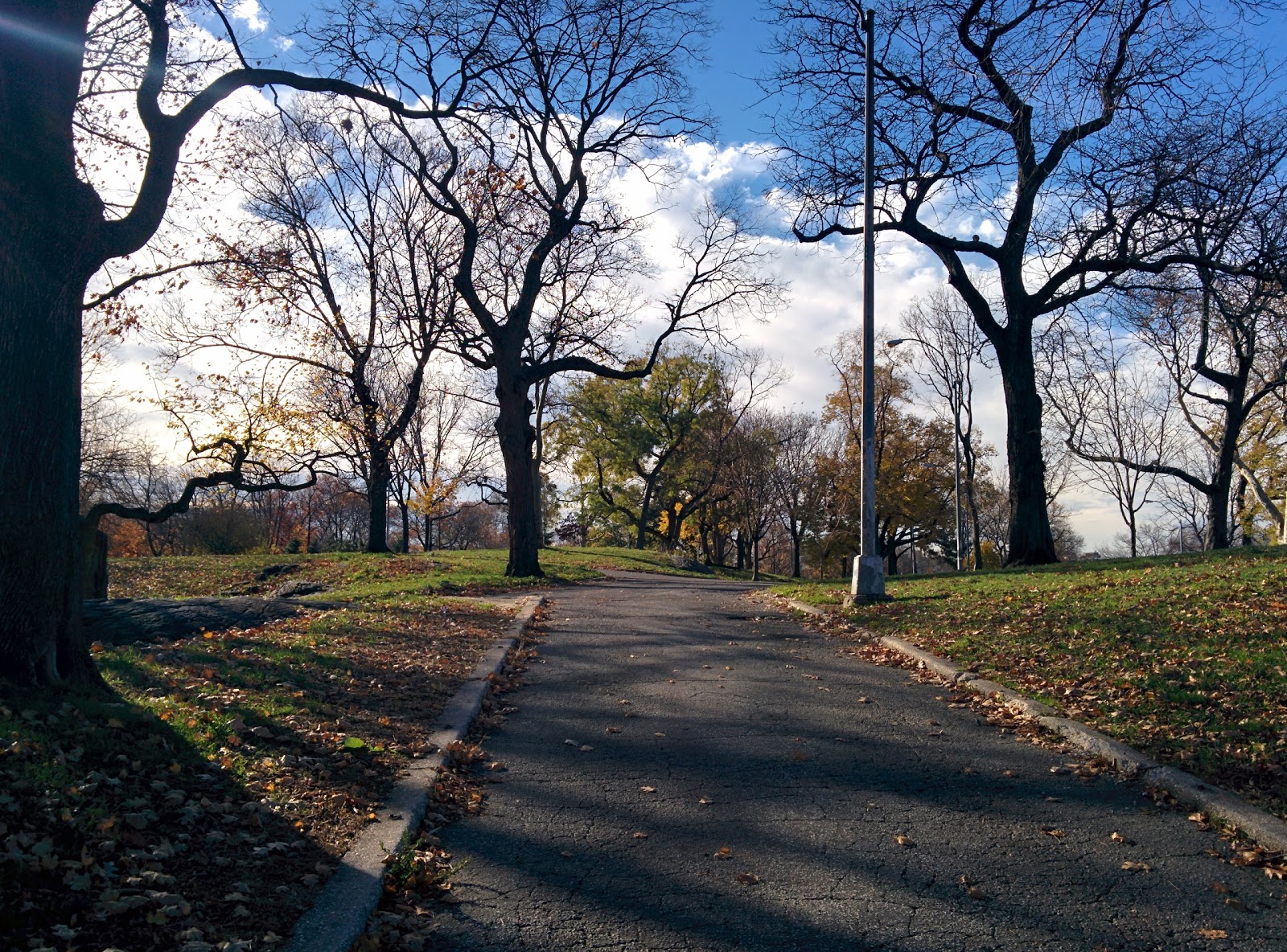 Photo of Saint Mary's Park in Bronx City, New York, United States - 10 Picture of Point of interest, Establishment, Park