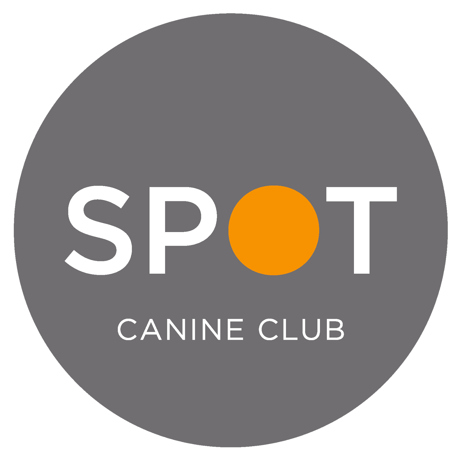 Photo of SPOT Canine Club - 42nd Street in New York City, New York, United States - 5 Picture of Point of interest, Establishment