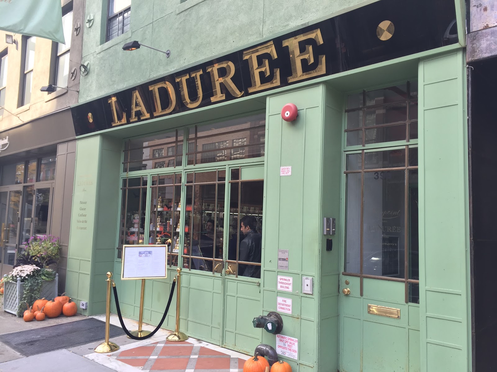 Photo of Ladurée Soho in New York City, New York, United States - 1 Picture of Restaurant, Food, Point of interest, Establishment, Cafe