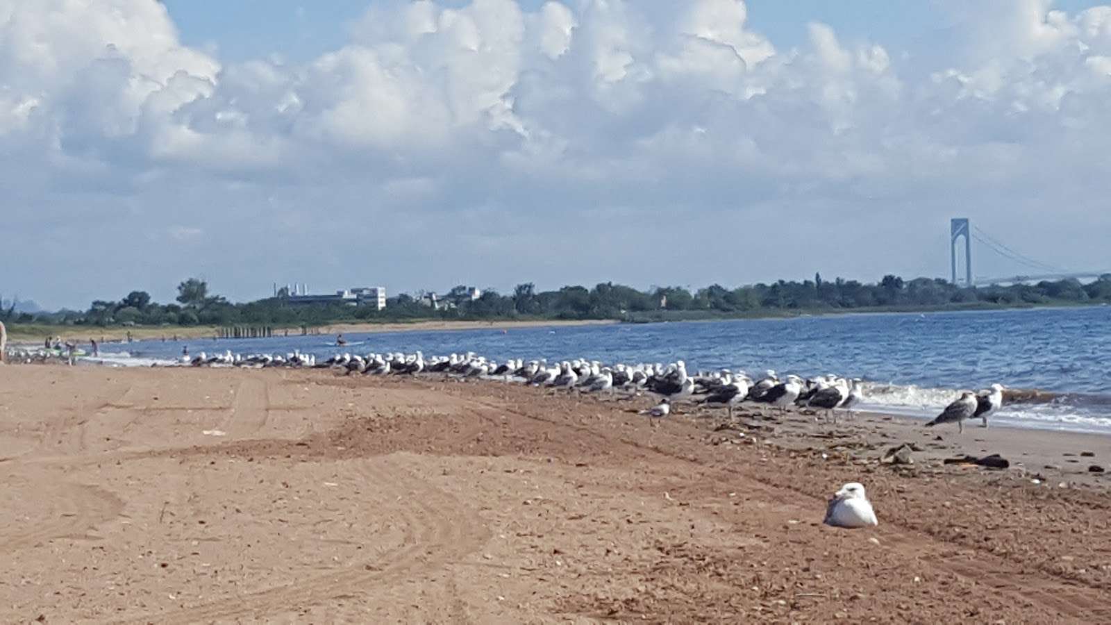 Photo of Great Kills Beach in New York City, New York, United States - 3 Picture of Point of interest, Establishment, Park