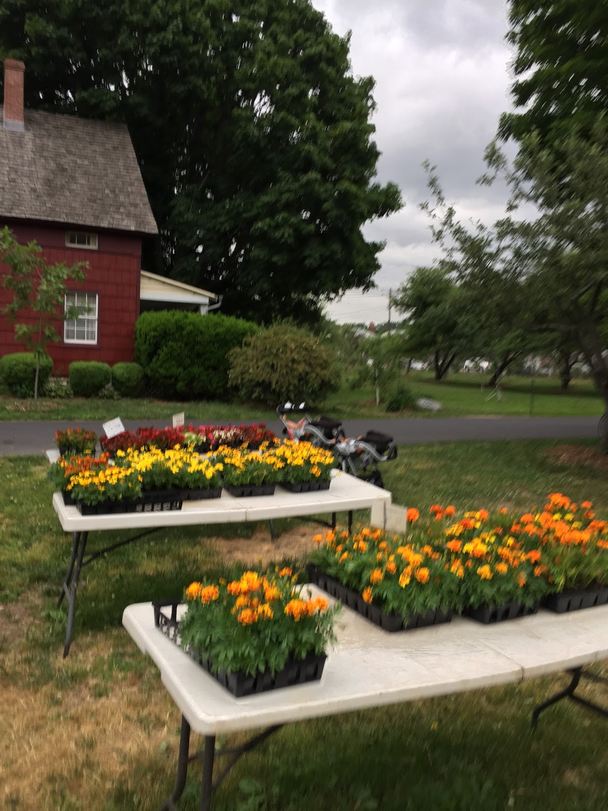 Photo of Queens County Farm Museum in Floral Park City, New York, United States - 3 Picture of Food, Point of interest, Establishment, Museum