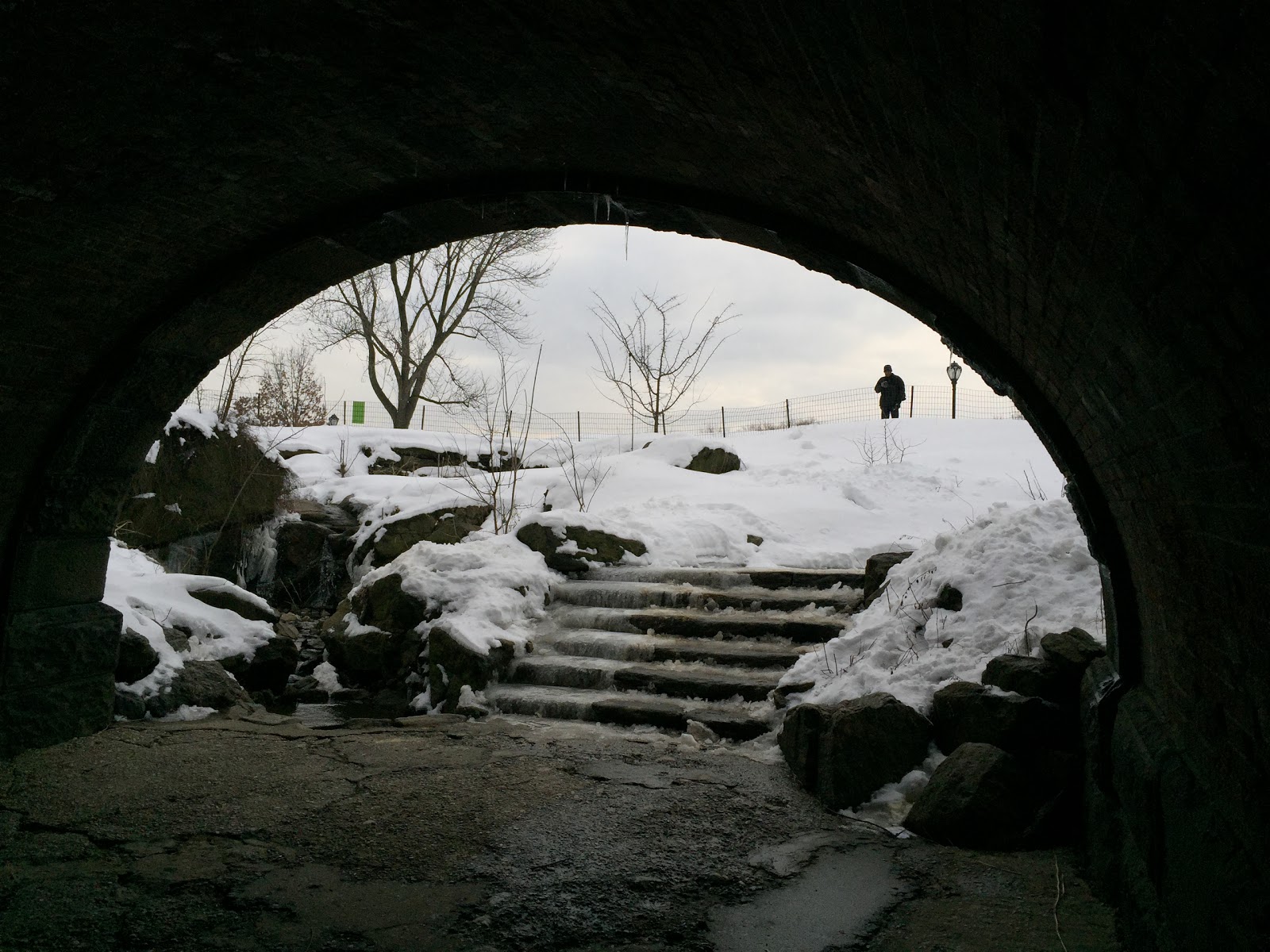 Photo of Springbanks Arch in New York City, New York, United States - 2 Picture of Point of interest, Establishment, Park