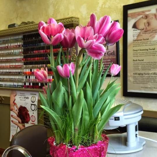 Photo of Village Nails of Glen Cove in Glen Cove City, New York, United States - 1 Picture of Point of interest, Establishment, Beauty salon, Hair care