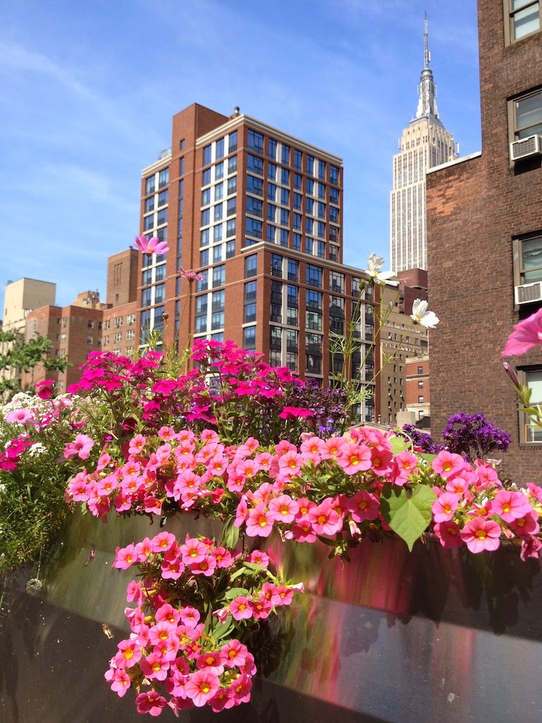 Photo of Science House in New York City, New York, United States - 2 Picture of Point of interest, Establishment