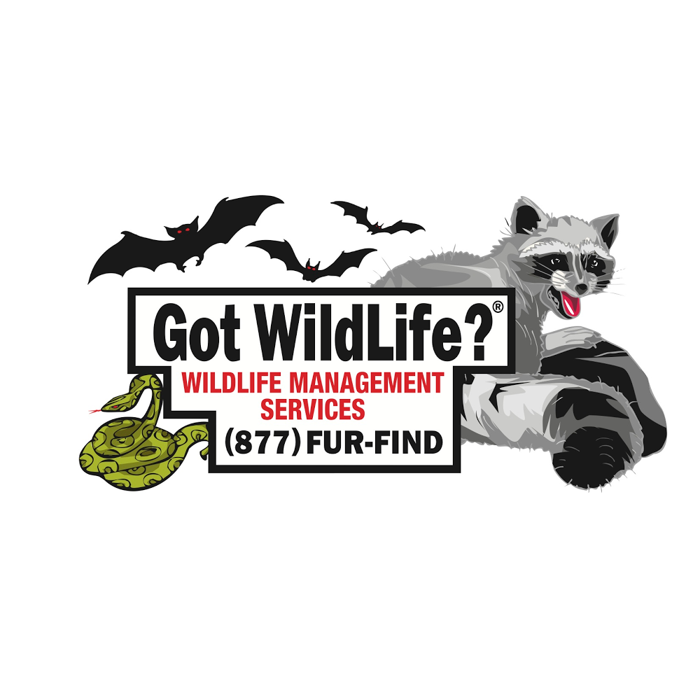 Photo of Got Wildlife? LLC in Roseland City, New Jersey, United States - 1 Picture of Point of interest, Establishment, Store, Home goods store