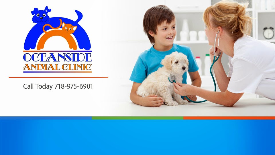 Photo of Oceanside Animal Clinic in Kings County City, New York, United States - 3 Picture of Point of interest, Establishment, Store, Health, Pet store, Veterinary care