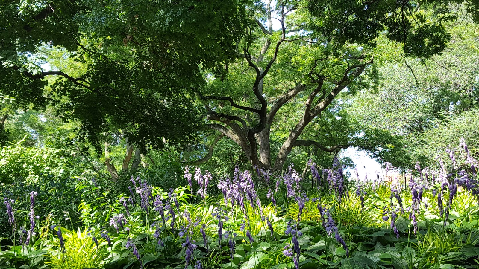 Photo of Fort Greene Park in Brooklyn City, New York, United States - 5 Picture of Point of interest, Establishment, Park