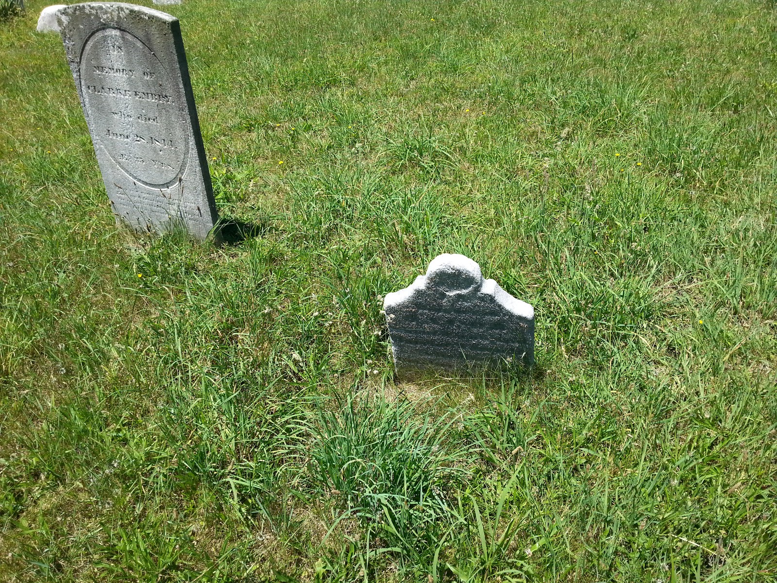 Photo of Hillside Cemetery in New York City, New York, United States - 6 Picture of Point of interest, Establishment, Cemetery