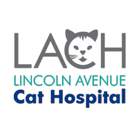 Photo of Lincoln Avenue Cat Hospital in Fair Lawn City, New Jersey, United States - 5 Picture of Point of interest, Establishment, Veterinary care