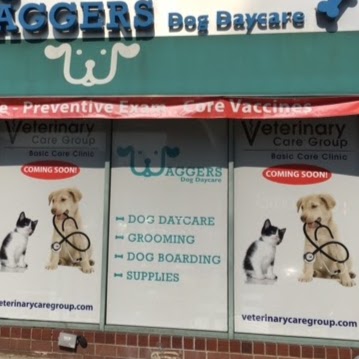 Photo of Veterinary Care Group Bayside in Queens City, New York, United States - 1 Picture of Point of interest, Establishment, Veterinary care