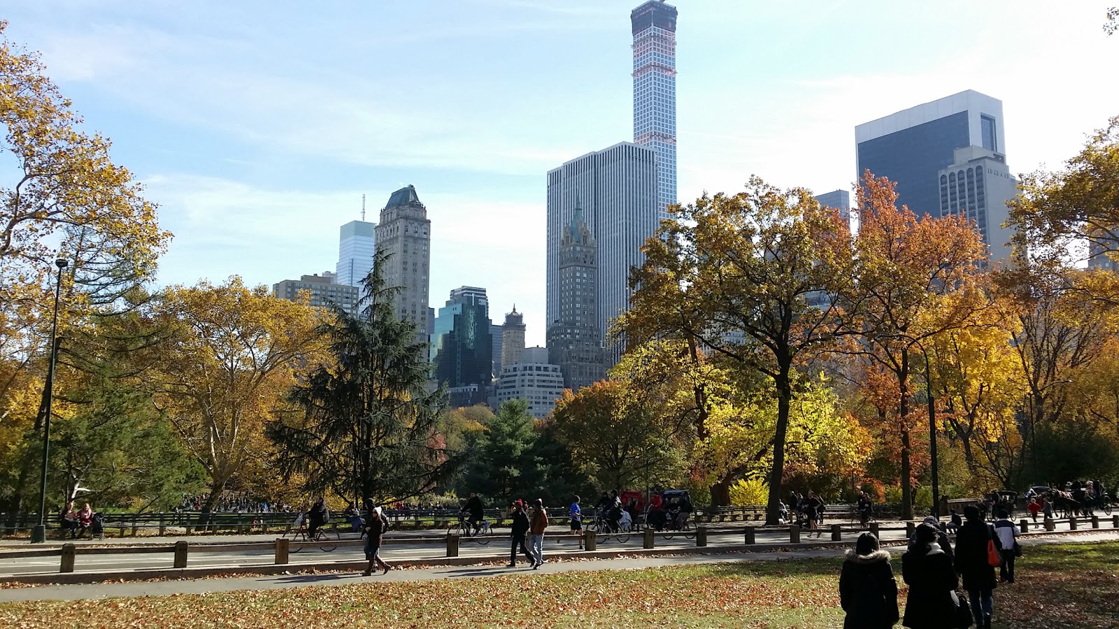 Photo of Sheep Meadow in New York City, New York, United States - 3 Picture of Point of interest, Establishment, Park