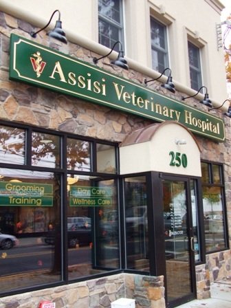 Photo of Assisi Veterinary Hospital in Malverne City, New York, United States - 4 Picture of Point of interest, Establishment, Health, Veterinary care