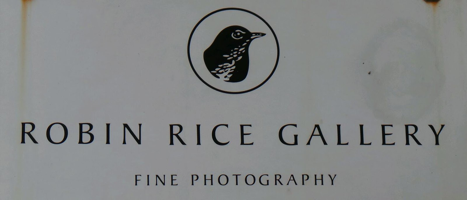 Photo of Robin Rice Gallery in New York City, New York, United States - 2 Picture of Point of interest, Establishment, Art gallery