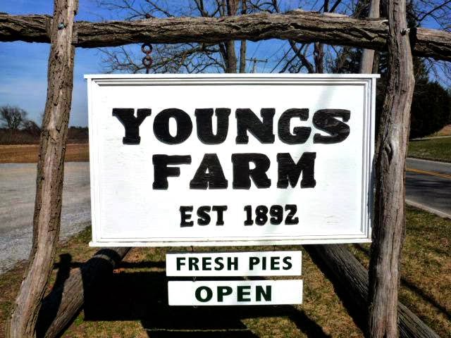 Photo of Youngs Farm in Glen Head City, New York, United States - 2 Picture of Food, Point of interest, Establishment, Store, Grocery or supermarket, Bakery