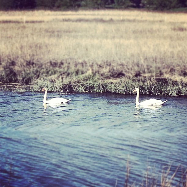 Photo of Marshlands Conservancy in Rye City, New York, United States - 10 Picture of Point of interest, Establishment, Park