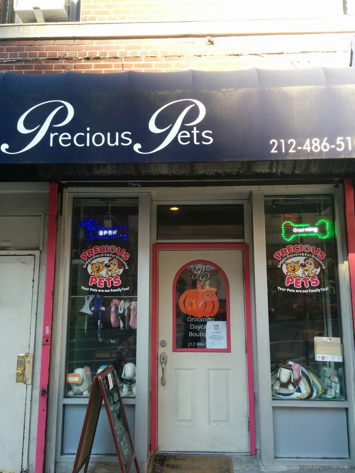 Photo of Precious Pets in New York City, New York, United States - 2 Picture of Point of interest, Establishment, Store, Pet store