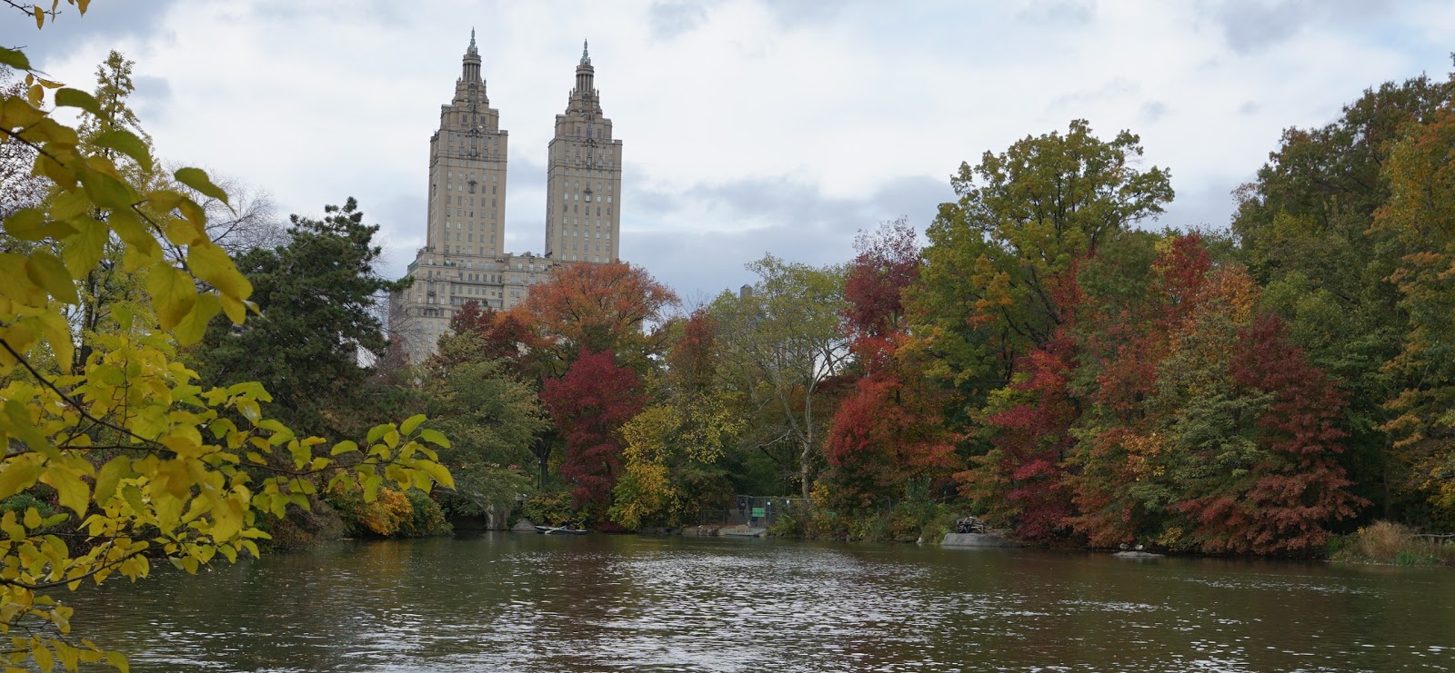 Photo of Turtle Lake in New York City, New York, United States - 10 Picture of Point of interest, Establishment, Park